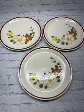 Vintage Woodhaven Sunnybrook Stoneware Dinner Plates Floral Cottage Set of 4